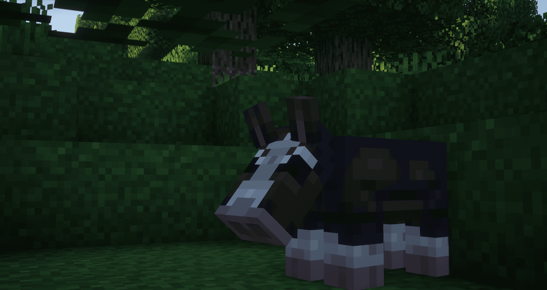 Miniatur 6