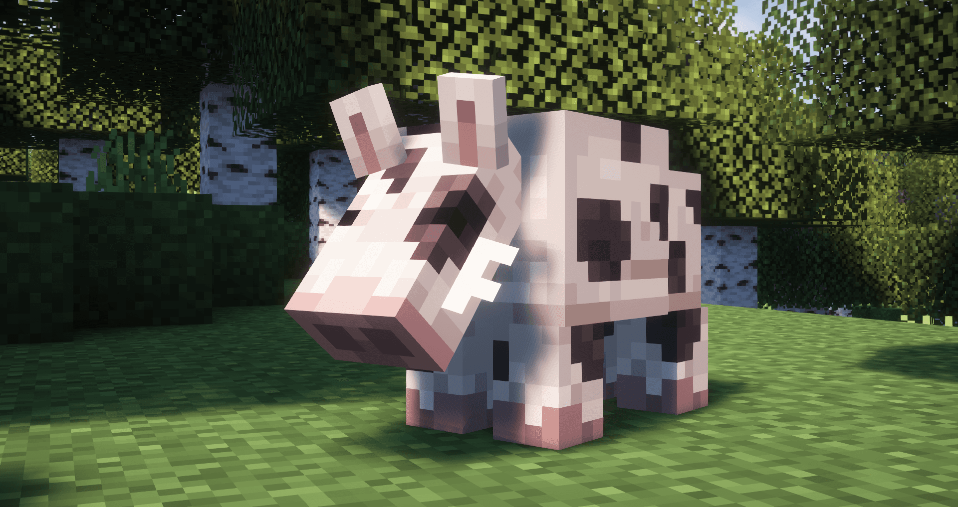 Miniatur 4