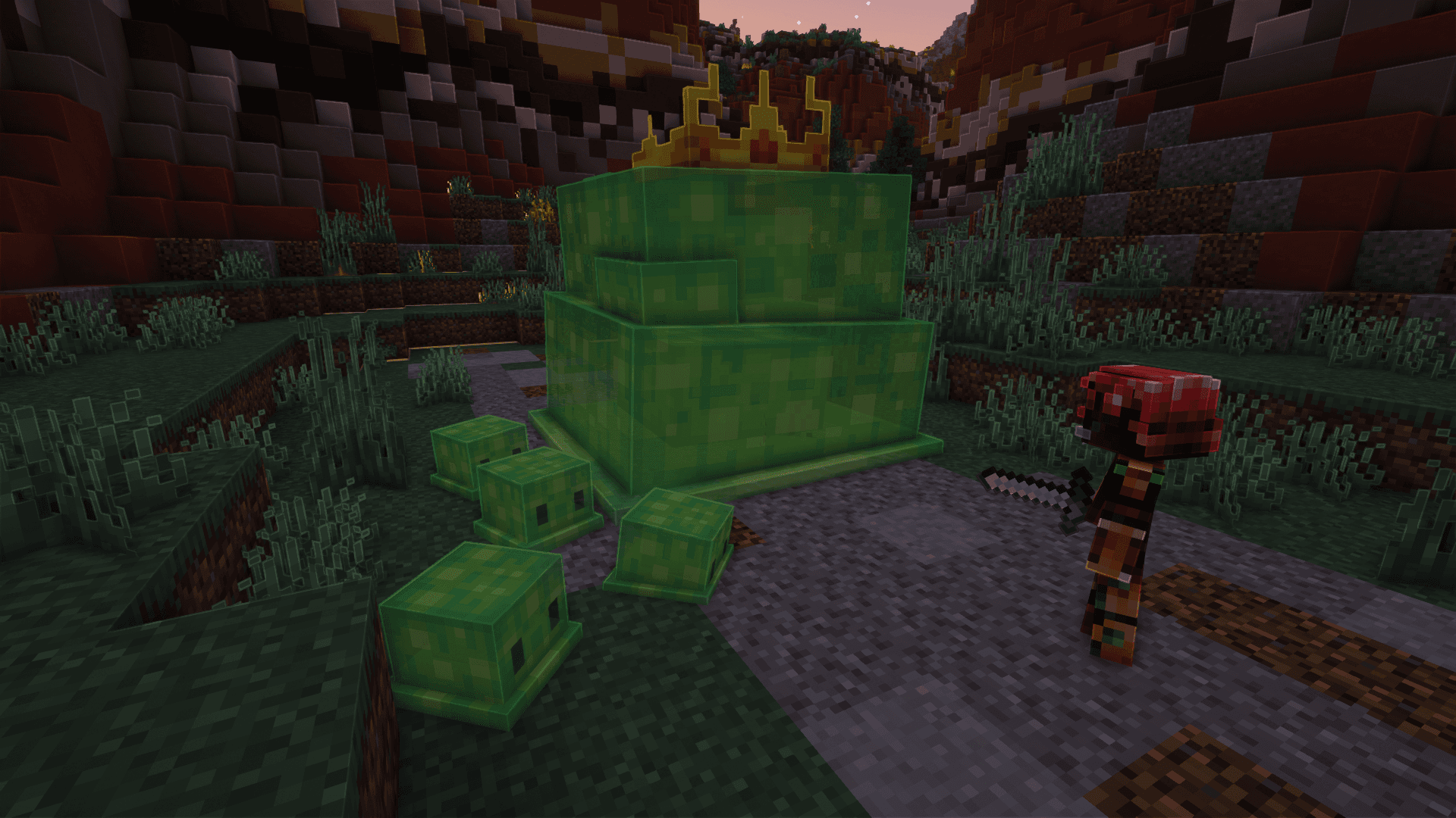 Thumbnail 11