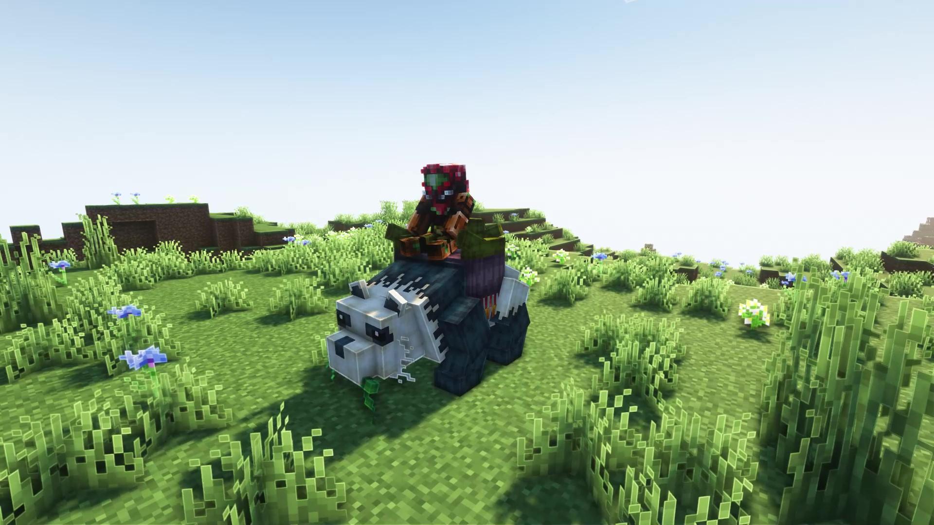 Thumbnail 5