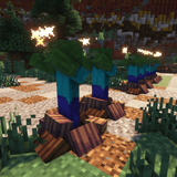Thumbnail 16